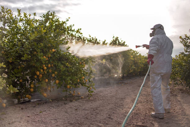 Best Best Pest Control Companies  in South Sarasota, FL