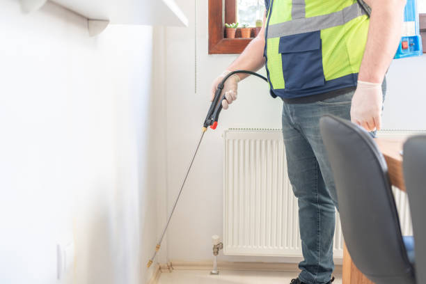 Best Rat Extermination Near Me  in South Sarasota, FL