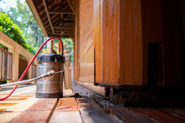 Pest Control Cost in South Sarasota, FL