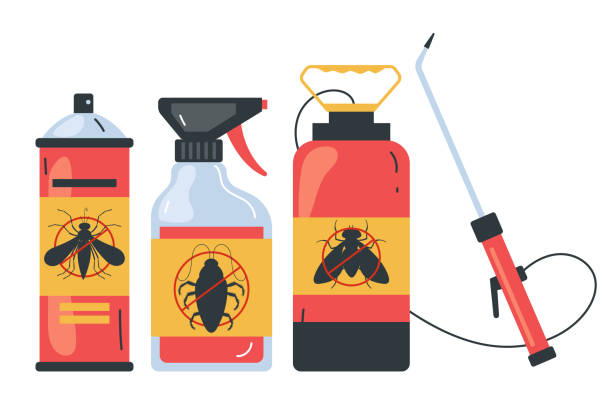 Best Pest Control Near Me in South Sarasota, FL